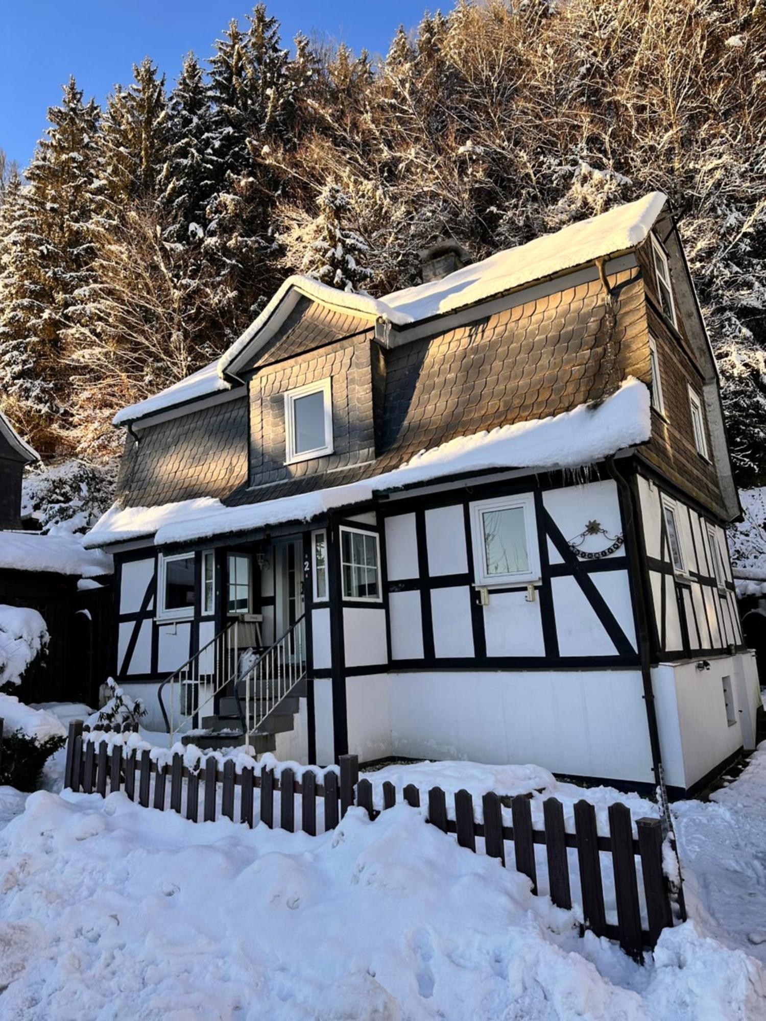 Ferienhaus Waldtraum Winterberg Dış mekan fotoğraf